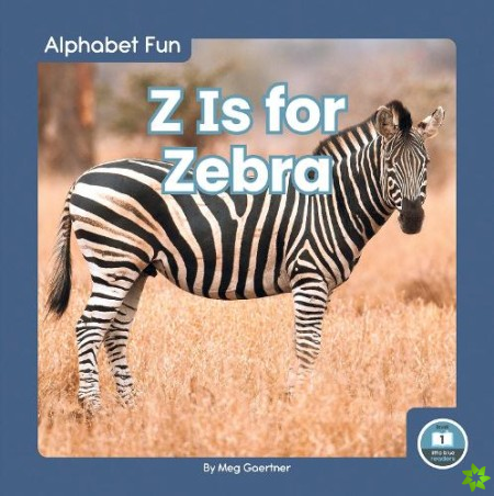 Alphabet Fun: Z is for Zebra