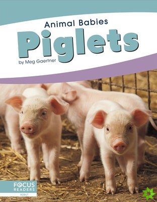 Animal Babies: Piglets