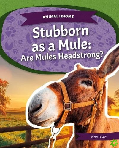 Animal Idioms: Stubborn as a Mule: Are Mules Headstrong?