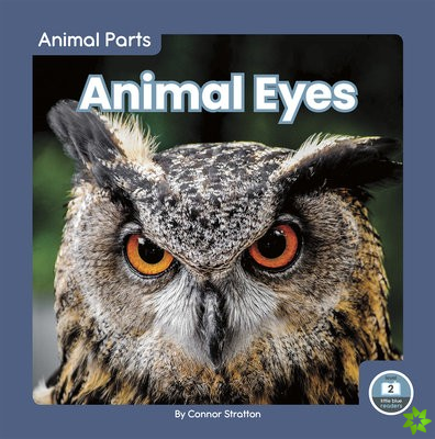 Animal Parts: Animal Eyes