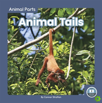 Animal Parts: Animal Tails