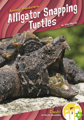 Animal Pranksters: Alligator Snapping Turtles