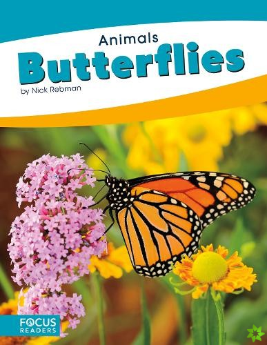 Animals: Butterflies