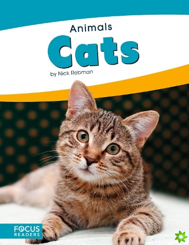 Animals: Cats