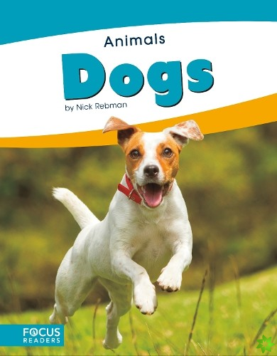 Animals: Dogs