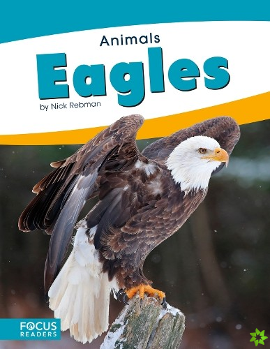 Animals: Eagles