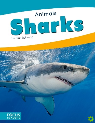 Animals: Sharks