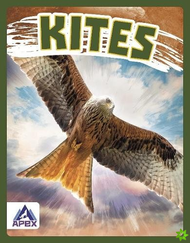 Birds of Prey: Kites