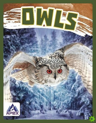 Birds of Prey: Owls
