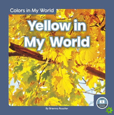 Colors in My World: Yellow in My World