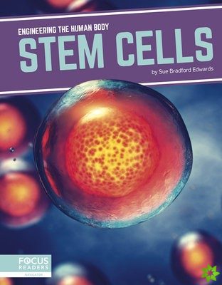 Engineering the Human Body: Stem Cells