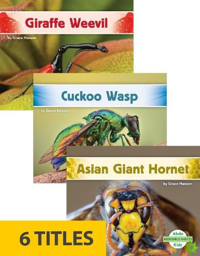 Incredible Insects (Set of 6)