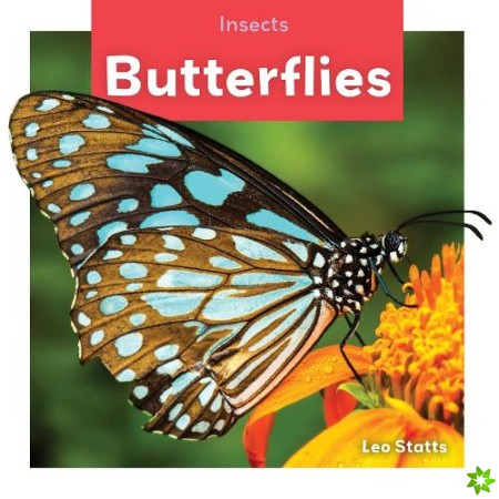 Insects: Butterflies
