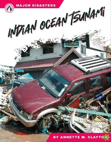 Major Disasters: Indian Ocean Tsunami