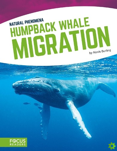 Natural Phenomena: Humpback Whale Migration