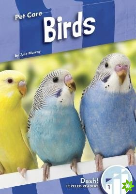 Pet Care: Birds