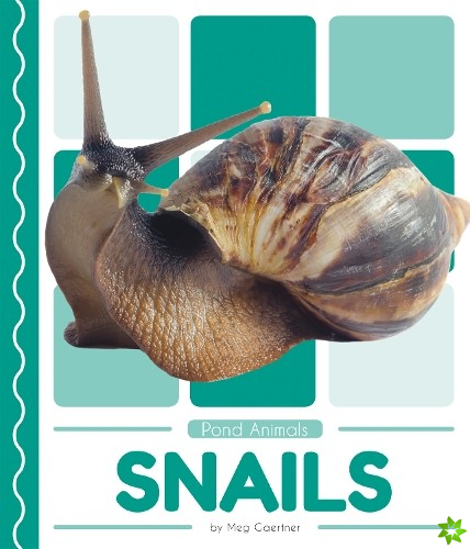 Pond Animals: Snails