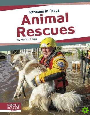 Rescues in Focus: Animal Rescues