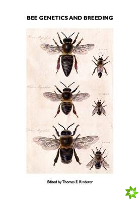 Bee Genetics and Breeding