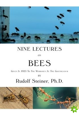 Nine Lectures on Bees