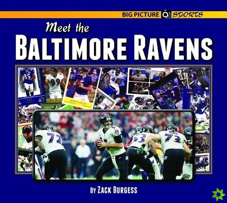 Meet the Baltimore Ravens