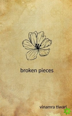 broken pieces
