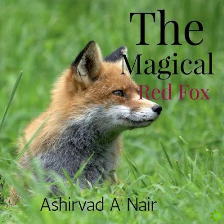 Magical Red Fox