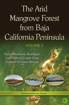 Arid Mangrove Forest from Baja California Peninsula