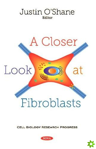 Closer Look at Fibroblasts