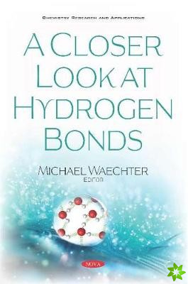 Closer Look at Hydrogen Bonds