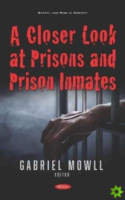 Closer Look at Prisons and Prison Inmates