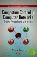 Congestion Control in Computer Networks