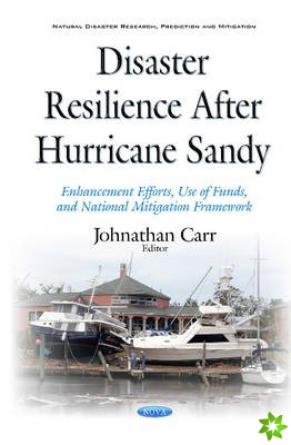 Disaster Resilience after Hurricane Sandy