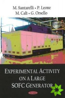 Experimental Activity on a Large SOFC Generator