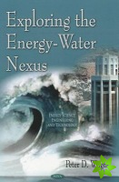 Exploring the Energy-Water Nexus