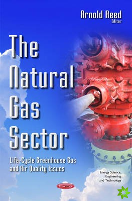 Natural Gas Sector