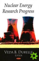 Nuclear Energy Research Progress