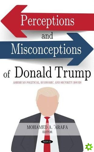 Perceptions and Misconceptions of Donald Trump