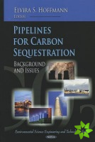 Pipelines for Carbon Sequestration