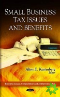Small Business Tax Issues & Benefits