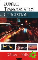 Surface Transportation Congestion