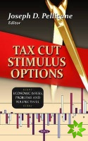 Tax Cut Stimulus Options