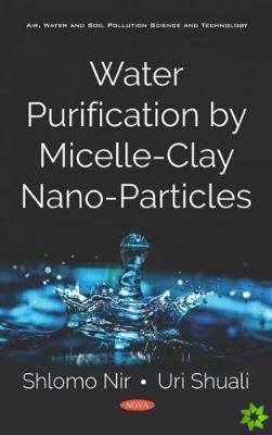 Water Purification by Micelle-Clay Nano-Particles