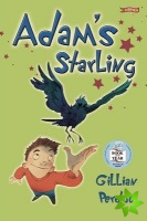 Adam's Starling