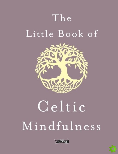 Little Book of Celtic Mindfulness