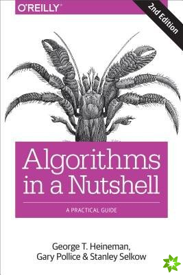 Algorithms in a Nutshell, 2e