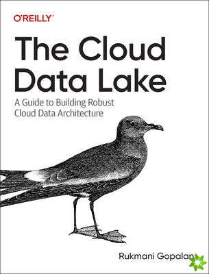 Cloud Data Lake