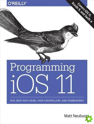 Programming iOS 11