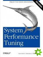 System Performance Tuning