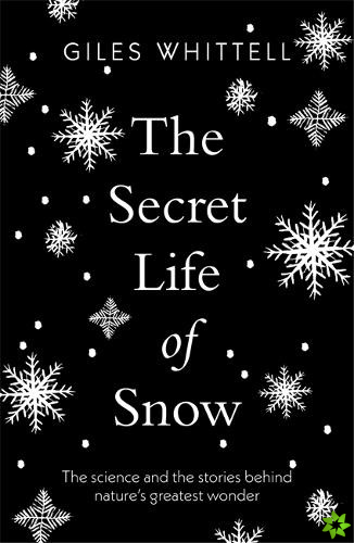 Secret Life of Snow